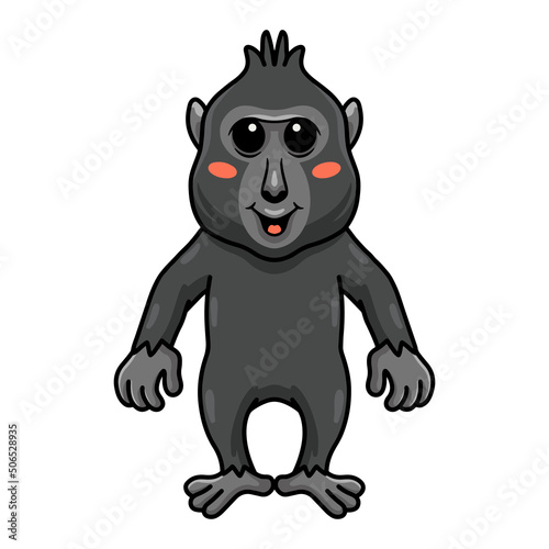 Cute little crested black macaque cartoon