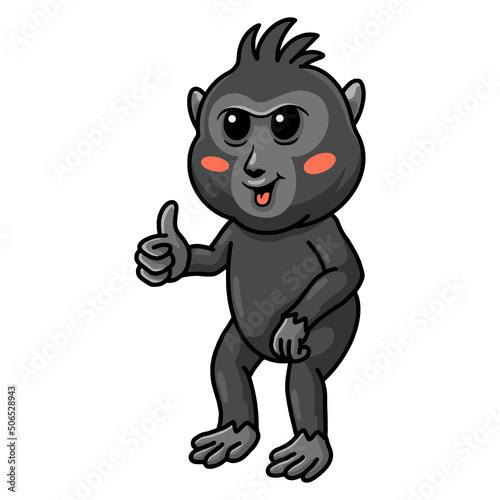 Cute little crested black macaque cartoon giving thumb up
