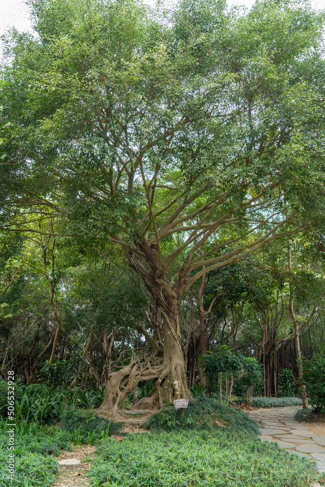 Historical Qingxiu Mountain Park in Nanning Historical Qingxiu Mountain Park in Nanning