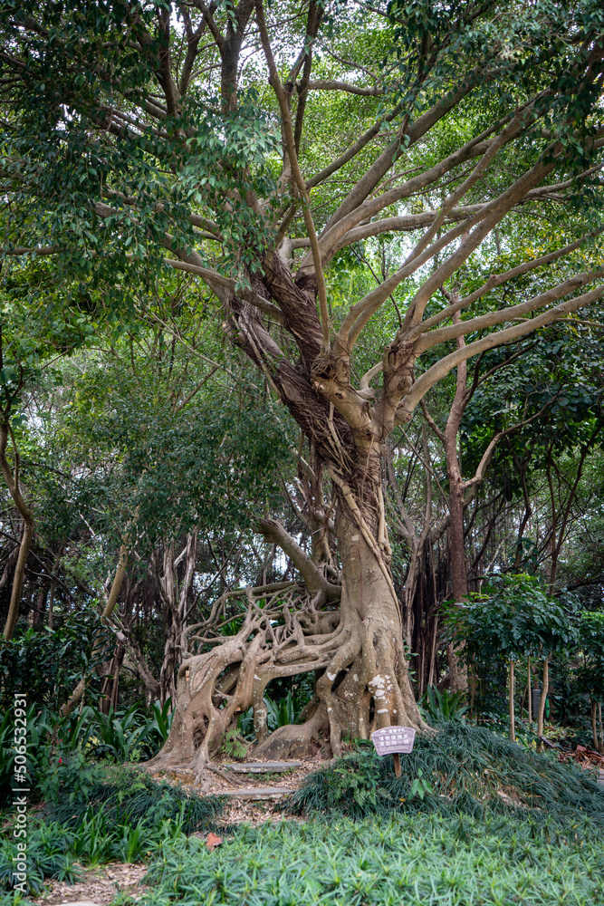 Historical Qingxiu Mountain Park in Nanning Historical Qingxiu Mountain Park in Nanning