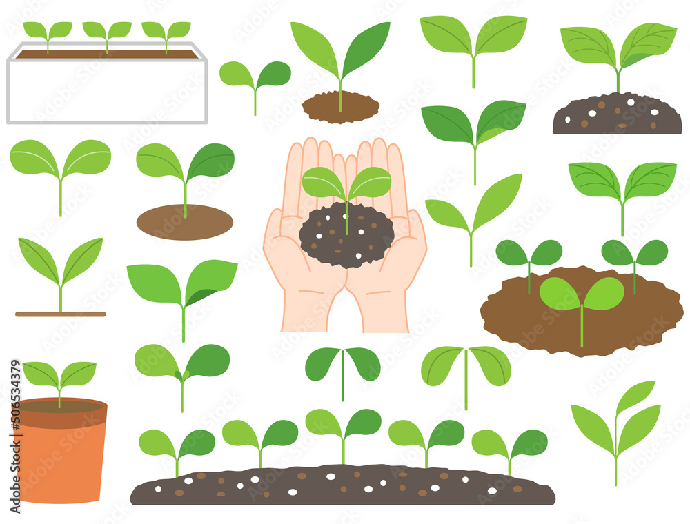 芽や萌芽や苗のイラストのセット Stock Vector Adobe Stock
