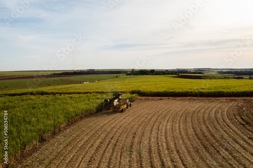 harvester and trailer in sugarcane field in sunny afternoon