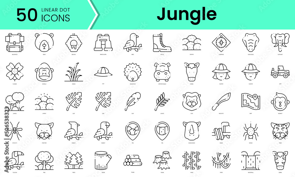 Set of jungle icons. Line art style icons bundle. vector illustration