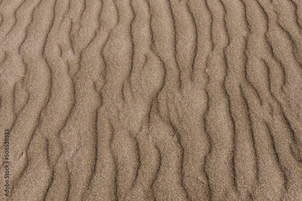 Yellow sand dunes as backdrop. Hot weather in desert, lack of water, soil erosion Yellow sand dunes as backdrop. Hot weather in desert, lack of water, soil erosion