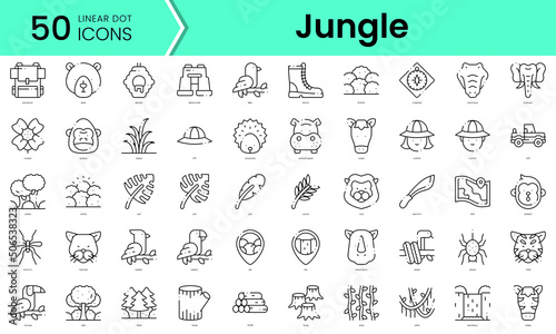 Set of jungle icons. Line art style icons bundle. vector illustration