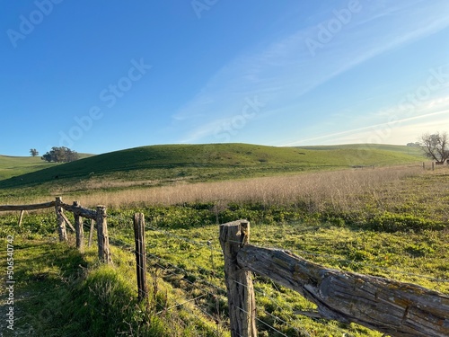 Landscape with grass meadow and blue sky