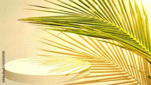 Coconut leaf sunlight shadow on concrete wall background pedestal 3d illustration