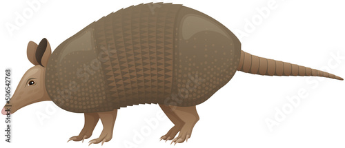 Vector illustration of a side view of a nine-banded armadillo animal against a white background.  photo