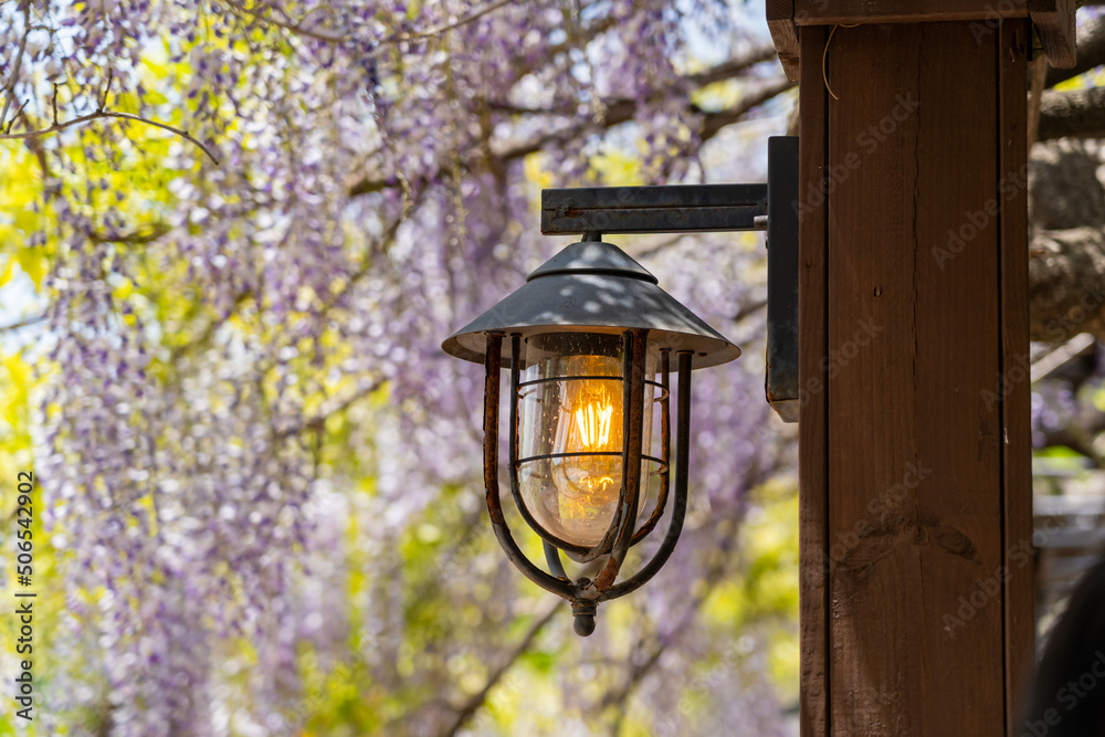 Close up image of vintage oil lamp decorations with Purple wisteria flowers hanging at the wooden ceiling