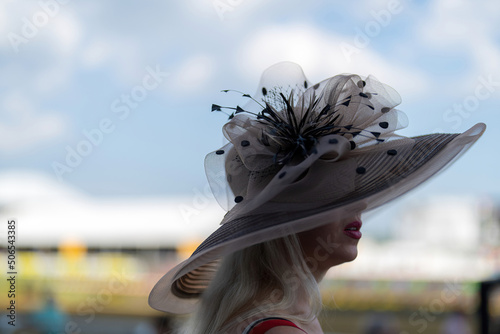 Photo An attendee at a horse race, wearing a fancy hat.