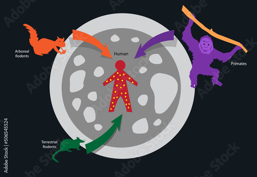 Zoonotic Disease. Monkeypox transfer from  animal to human. Editable clip Art.