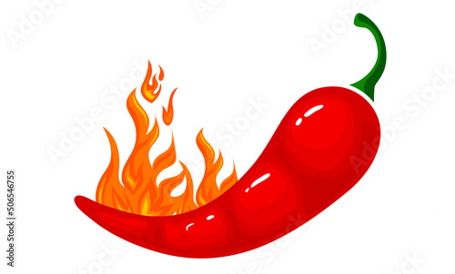 hand drawn pepper, chilli pepper vector drawing set. line drawing set of pepper vector illustration. outline vector pepper set. for restaurant design or spicy food menu.