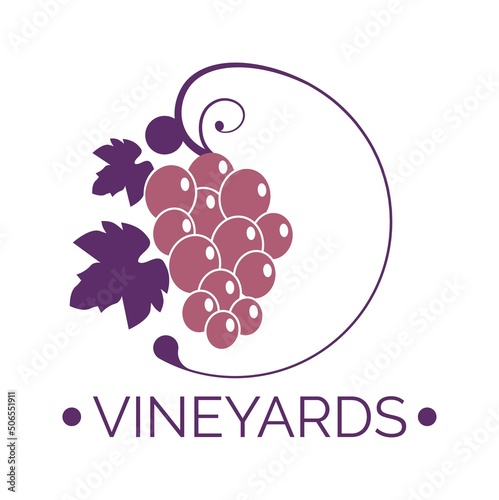 Vineyards, branch with grapes for wine making