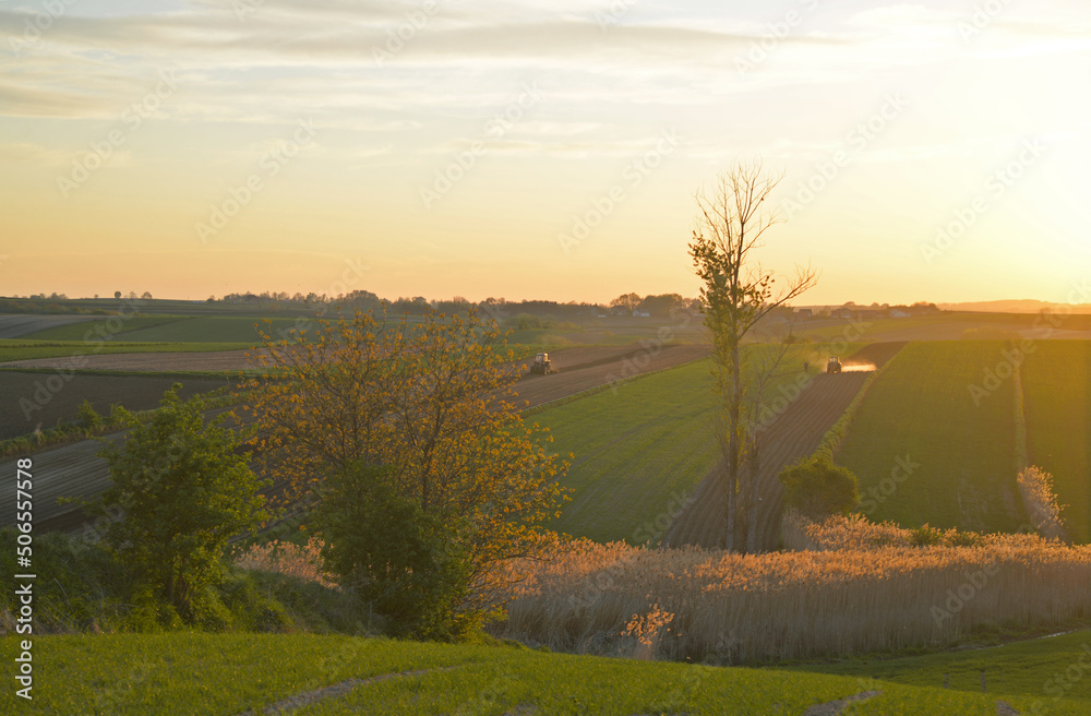 Poland, beautiful landscape. Fields, meadows and grass. Asphalt road. Sunset. Sky and clouds.