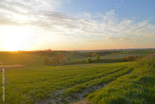Poland, beautiful landscape. Fields, meadows and grass. Asphalt road. Sunset. Sky and clouds.