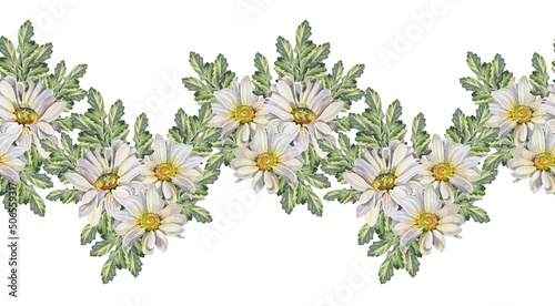 Seamless rim watercolor chrysanthemum daisy chamomile with green leaves on white background. Hand-drawn summer bloom flower for florist. Border for celebration wedding wrapping textile, coloring book