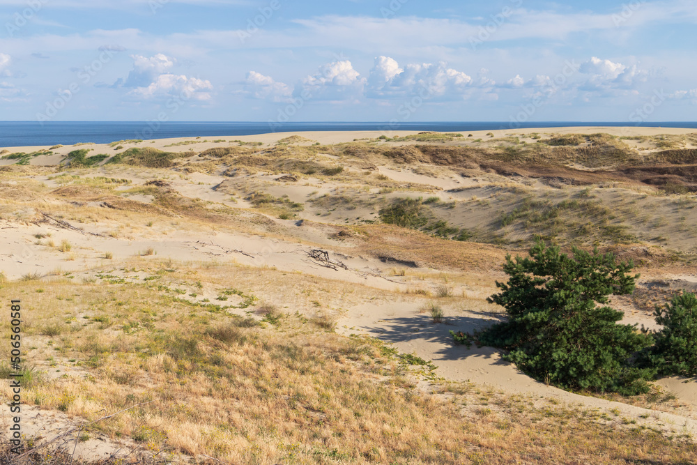 Curonian Spit summer landscape with sandy coastal dunes