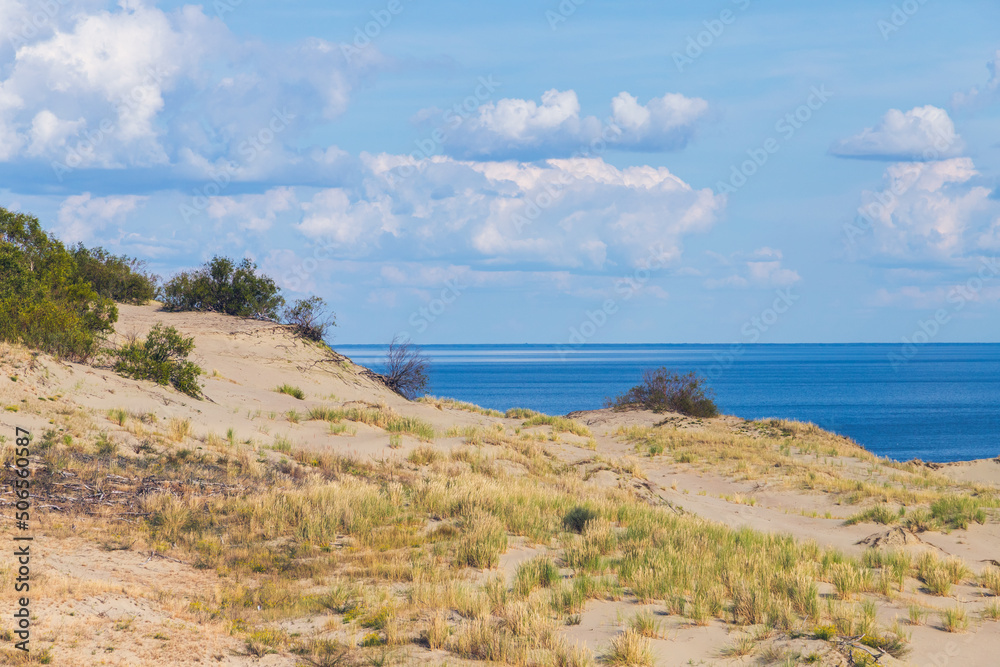 Curonian Spit summer landscape. Coastal dunes