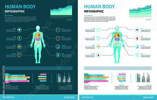 Human Body Infographic Illustration Light and Dark