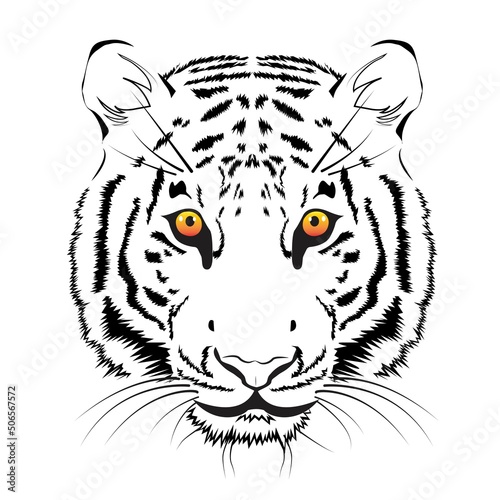 Vector tiger head on a white background
