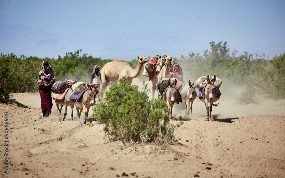 Afar people living in the scorching Danakil Desert, Danakil Lowlands, Ethiopia, East Africa