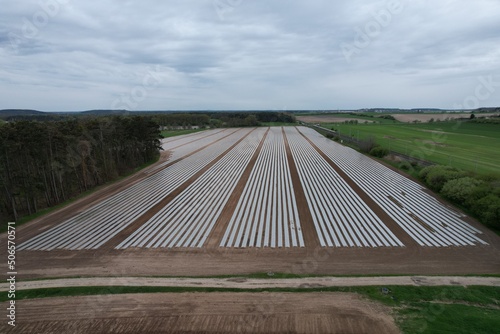 intensive agriculture and vegetables production in Polabí region near Poděbrady city,Czech republic,Europe,aerial scenic panorama landscape view photo