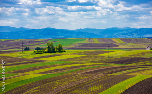 landscape on the field with different crops in spring