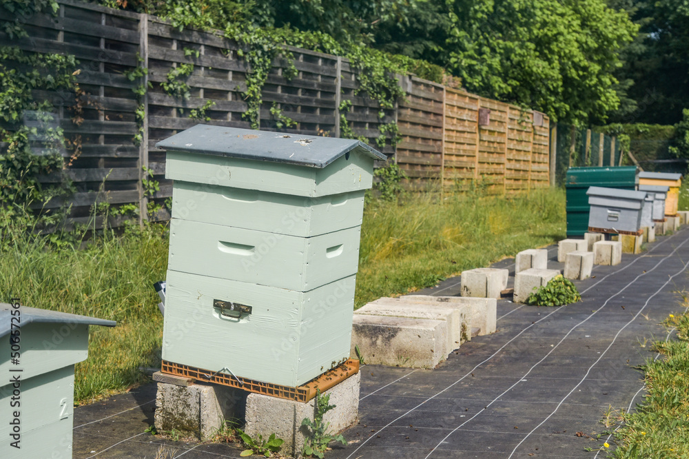 view of a beehive in a garden view of a beehive in a garden