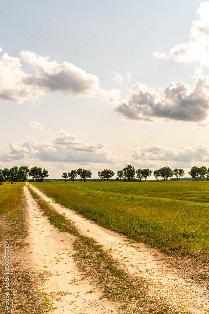 Obraz premium A dirt road in a field with wheat in the summer against the background of clouds. Outdoor recreation away from the hustle and bustle of the city.