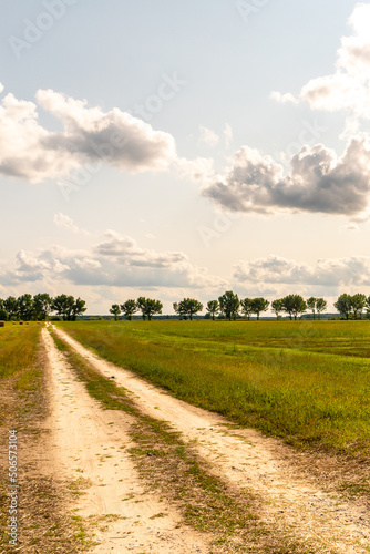 A dirt road in a field with wheat in the summer against the background of clouds. Outdoor recreation away from the hustle and bustle of the city.