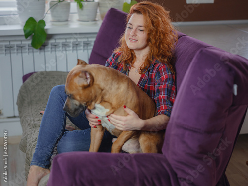 Happy woman petting her merican staffordshire terrier on couch at home in living room. pet and owner having good time together at home, living room interior, © YURII Seleznov