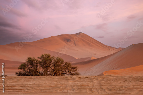 Pink sunrise on the beautiful dunes of the Namib Desert. Sossusvlei. Namibia. Africa © Nataliya