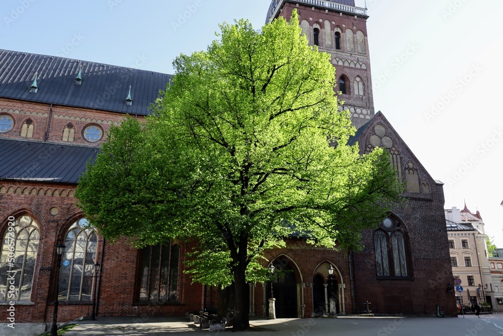 Obraz premium old town hall
