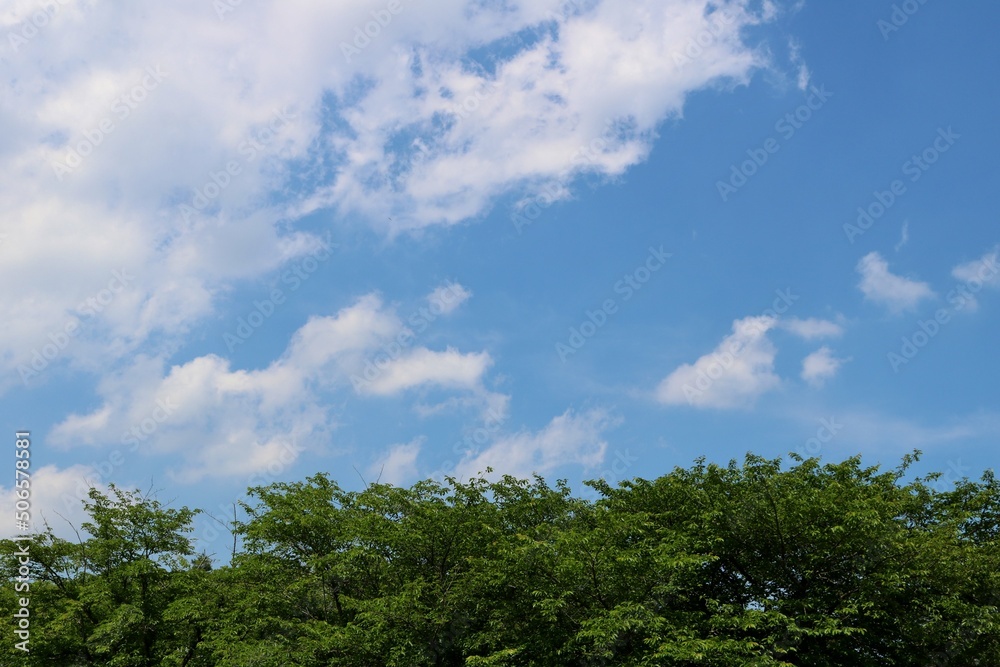 爽やかな青空　癒しの新緑　ネーブルパーク