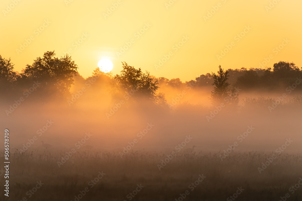 A rural landscape on a foggy, spring morning.