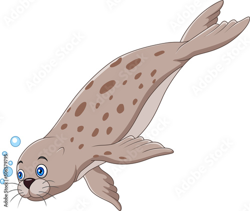 Cartoon seal swimming on white background