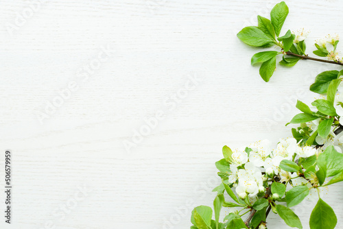 Flowers on a white rustic wooden background. Flowering branch of apple tree on a wooden desk or surface, top view, copy space