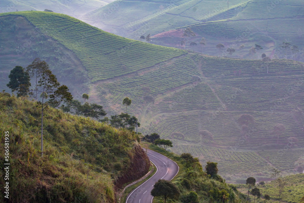 View of the road in the morning around Cukul, Pangalengan, Bandung with tea plantation covered with fog background