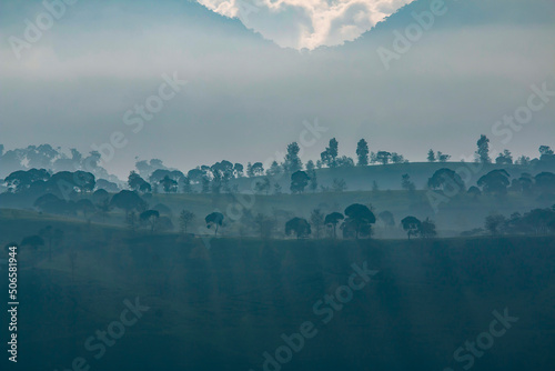 View of tea plantation shrouded in mist in the morning at Cukul, Pangalengan, Bandung photo