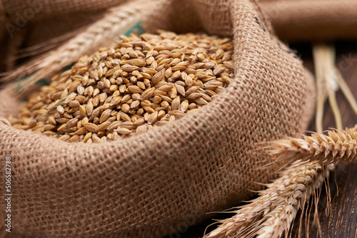 barley grain on the wooden background