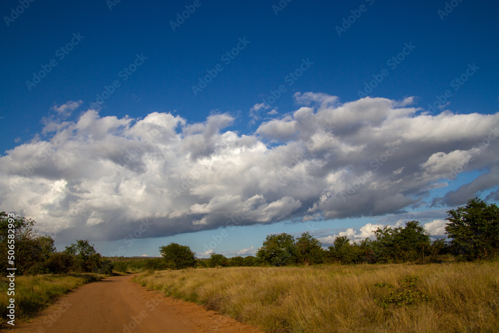 Landscape with a dramatic cloudbank in the Kruger National Park in South Africa