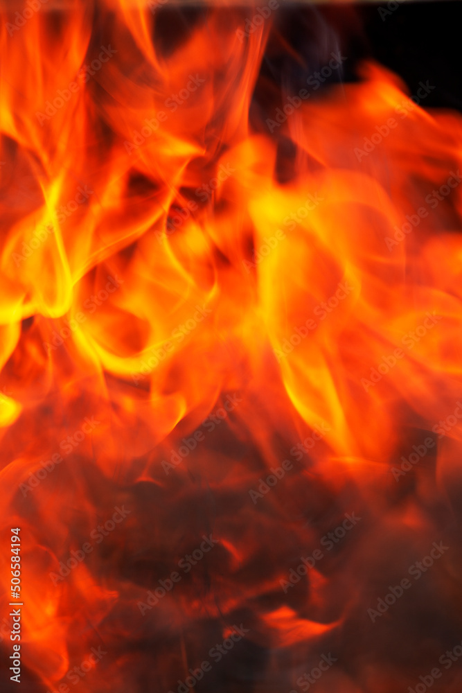 a fire made of logs with a bright flame at a camping while cooking a fire made of logs with a bright flame at a camping while cooking