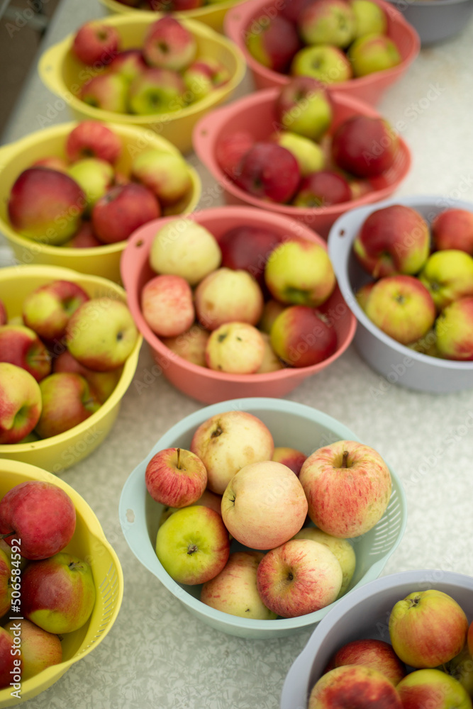 Apples on plates. Fruits in summer. Autumn harvest of apples. Yellow and red fruits. Healthy food. Apples on plates. Fruits in summer. Autumn harvest of apples. Yellow and red fruits. Healthy food.