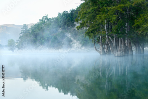 Mountain lake in the morning fog. Cypresses with fancy trunks grow out of the water  reflecting in the water. Copy space.