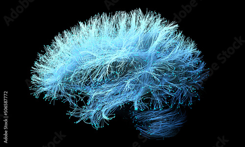 Human brain nerve tracts, illustration photo