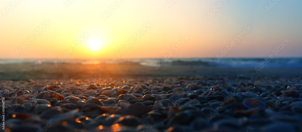 Close up image of seashells during sunset time at the beach - obrazy, fototapety, plakaty 