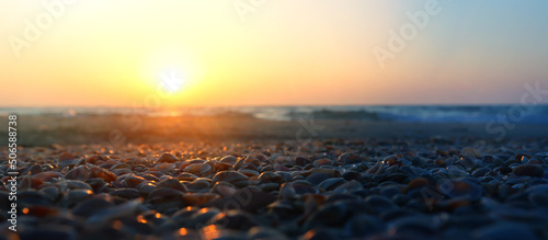 Photo Close up image of seashells during sunset time at the beach