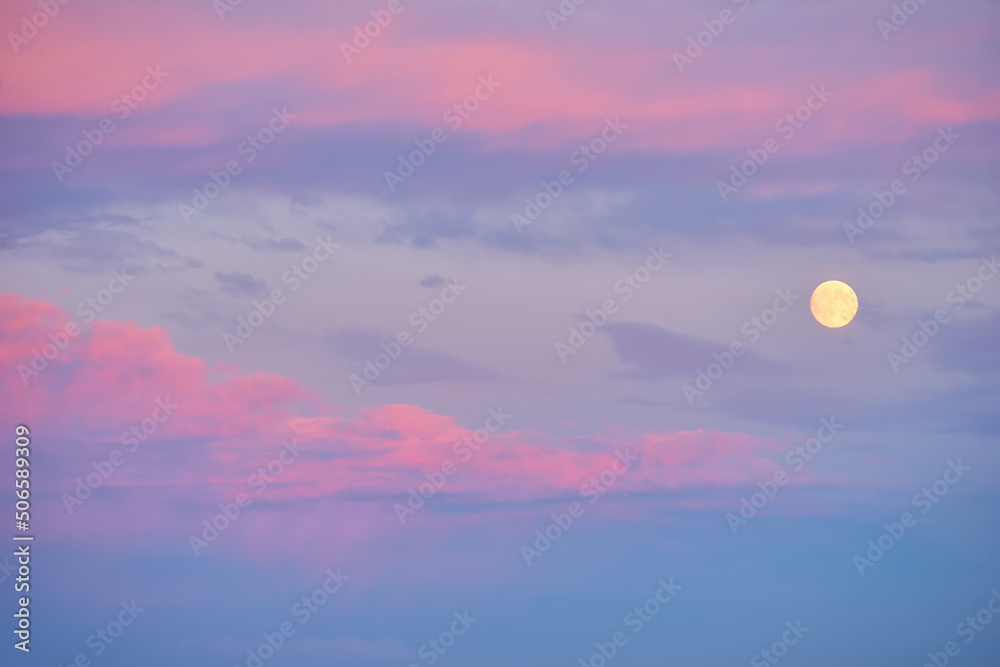 Fototapeta premium Full moon rising during spring evening with blue sky.