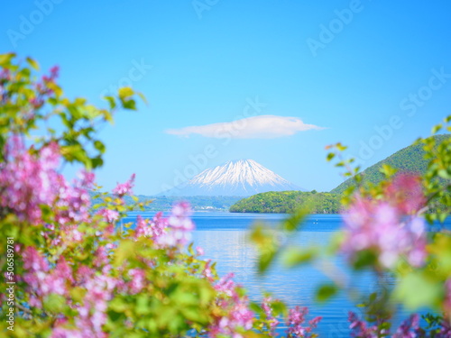 北海道の絶景 初夏の洞爺湖と羊蹄山とライラックの花 photo