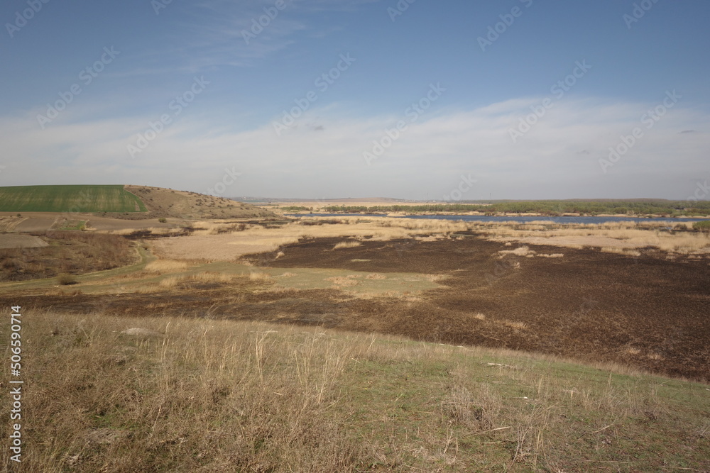 burned Danube Delta in spring in Parches, Tulcea, Romania burned Danube Delta in spring in Parches, Tulcea, Romania
